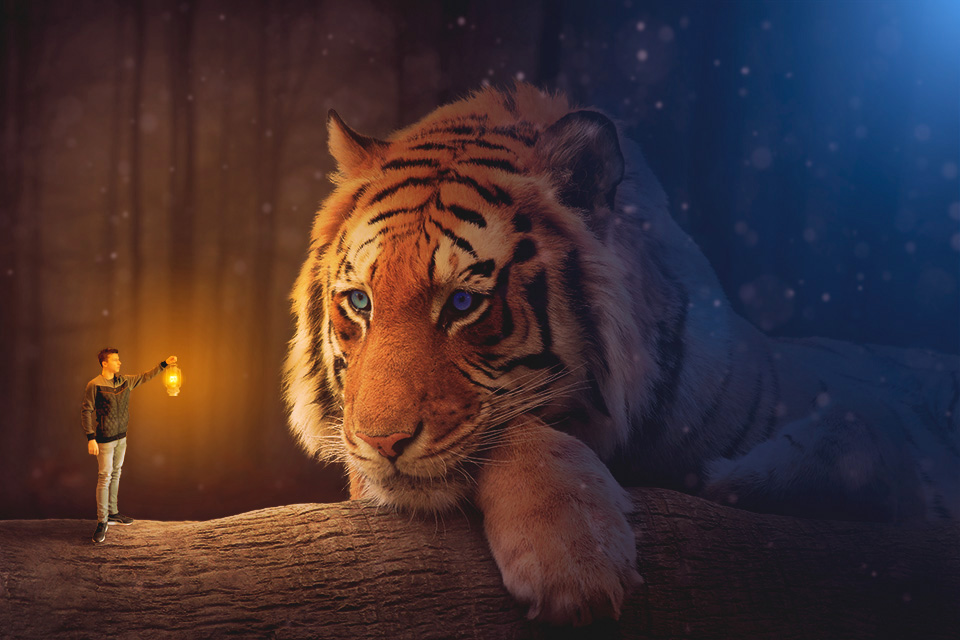 Fantasy tiger